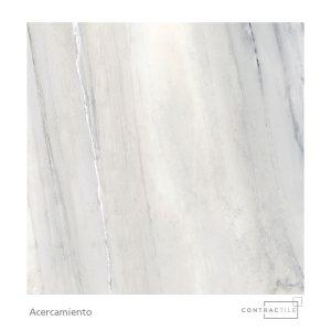 Ceramica San Lorenzo -Vital Gris - 60x60