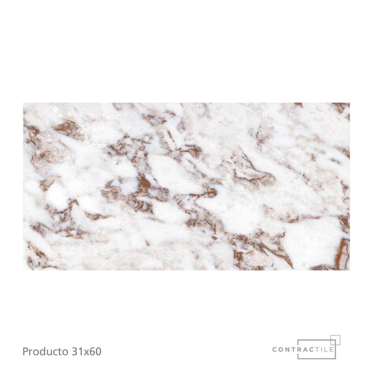 Contractile - Pared Nexus