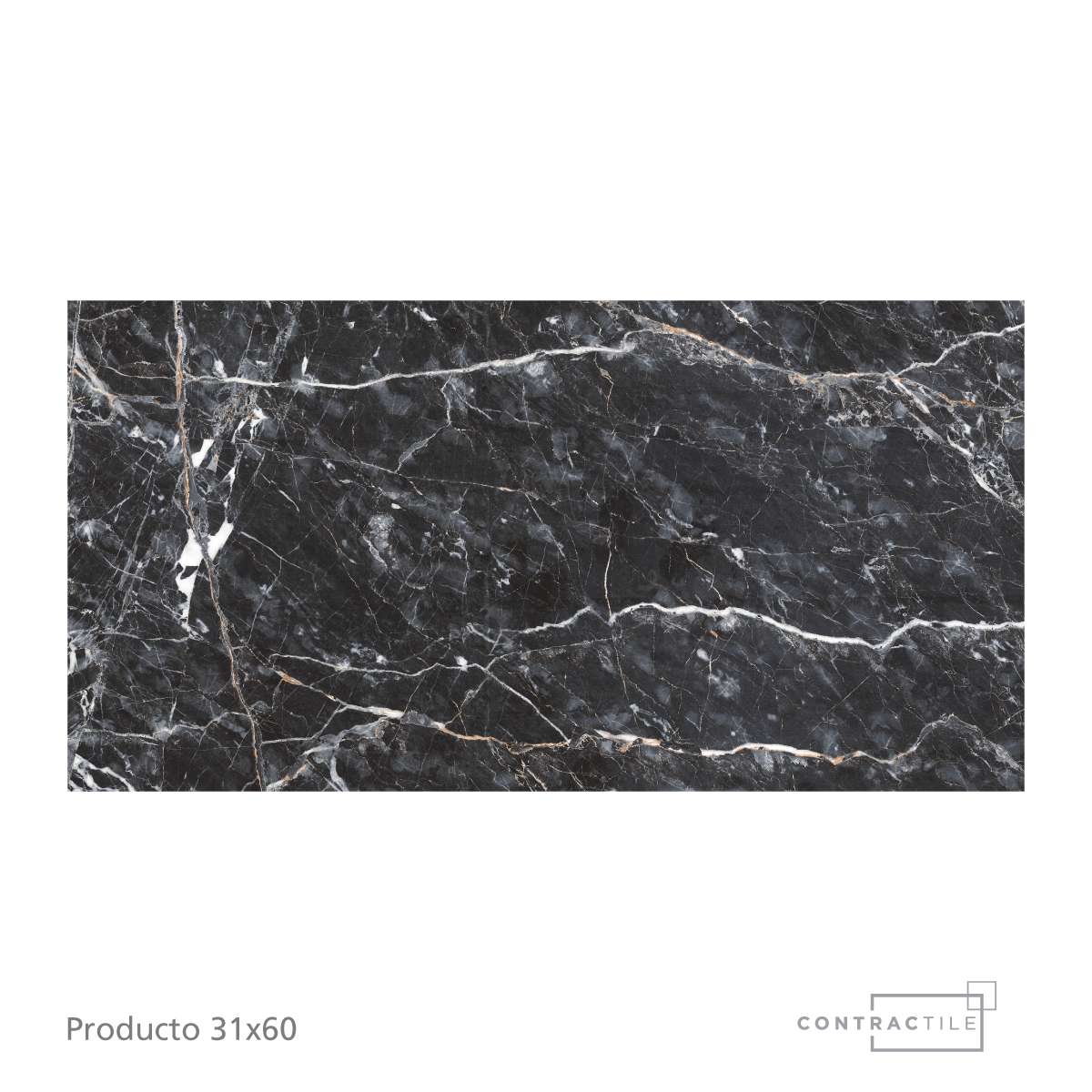 Contractile - Pared Orion