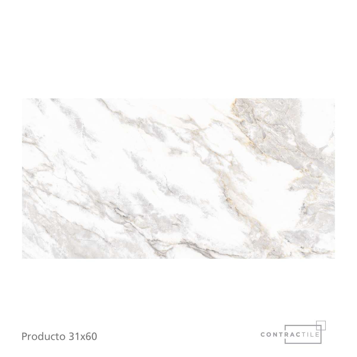 Contractile - Pared Volt